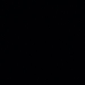 Meet your Posher, Wesley